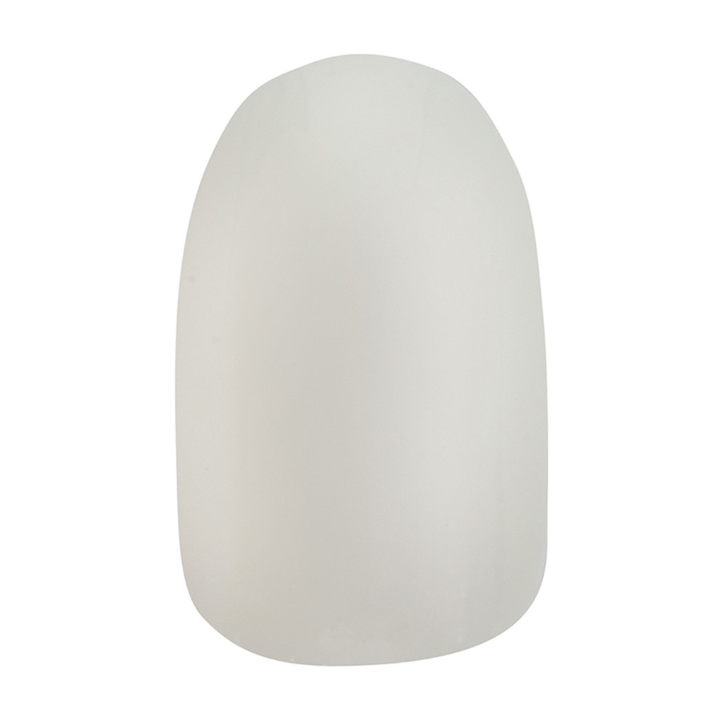 CHIC FRENCH NAILS
