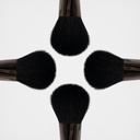 BLUSH BRUSH