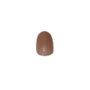 CHOCOLATE CHIC NAILS