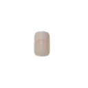 FRENCH ELEGANCE DX2