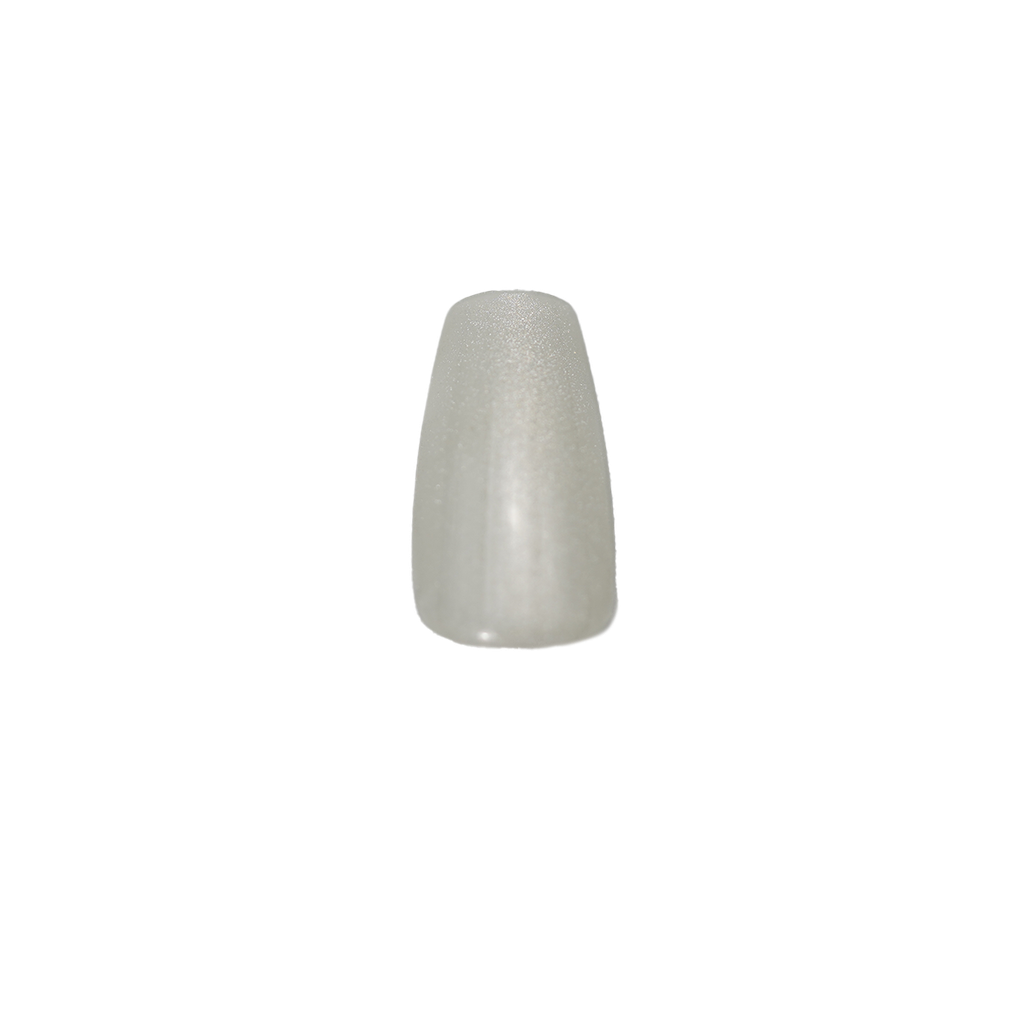SILVER SHINE NAILS