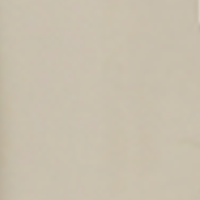 اللون: 203